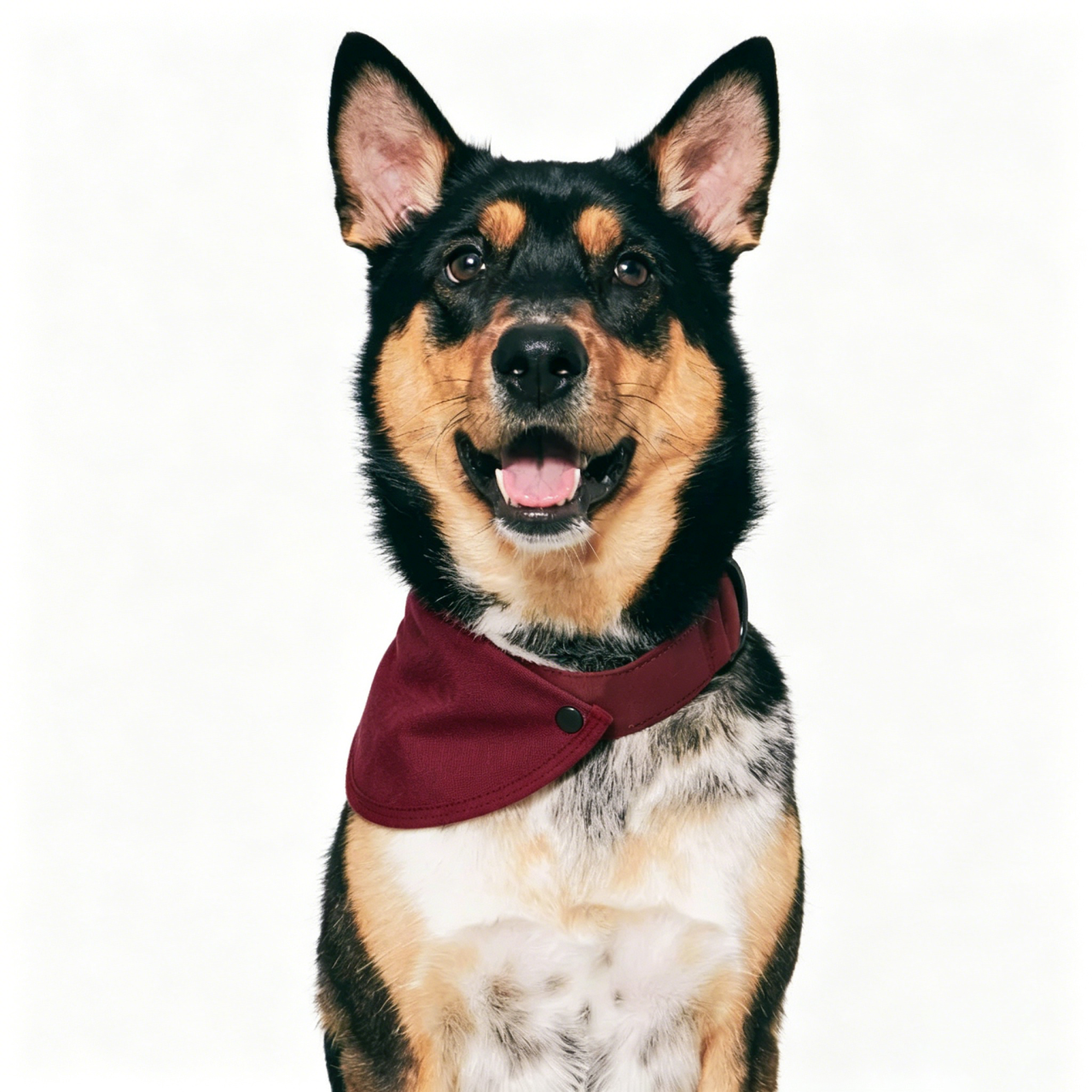1 Canvas Neckerchief-Burgundy - Image 1